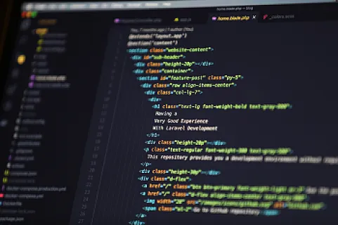 Professional Laravel developer building web application